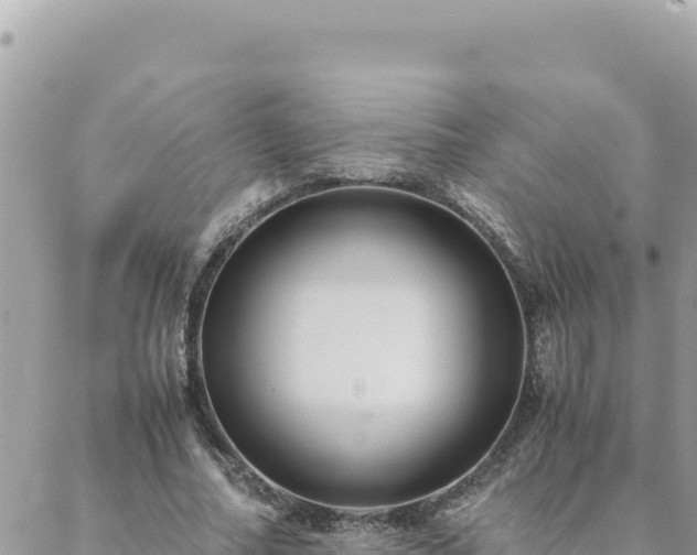 X0000088600682200706011203