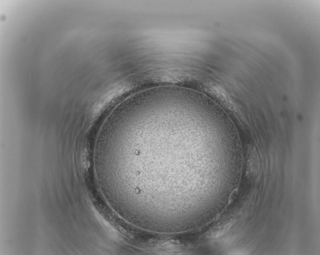 X0000088600683200706011203