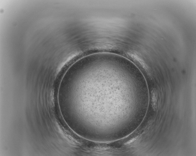 X0000088600684200706011203