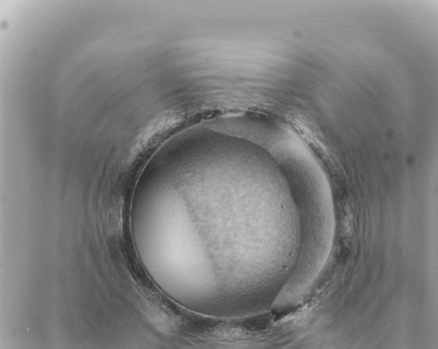 X0000088600685200706011203