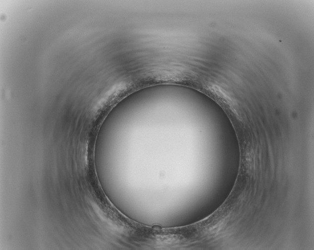 X0000088600686200706011203