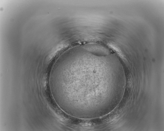 X0000088600687200706011203