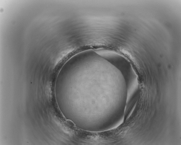 X0000088600688200706011203