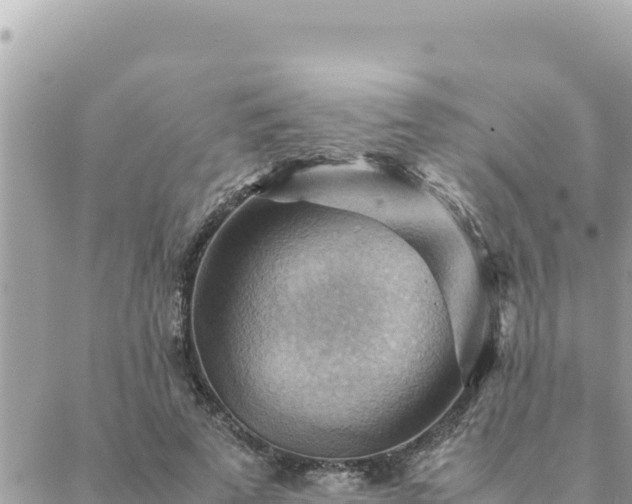 X0000088600689200706011203