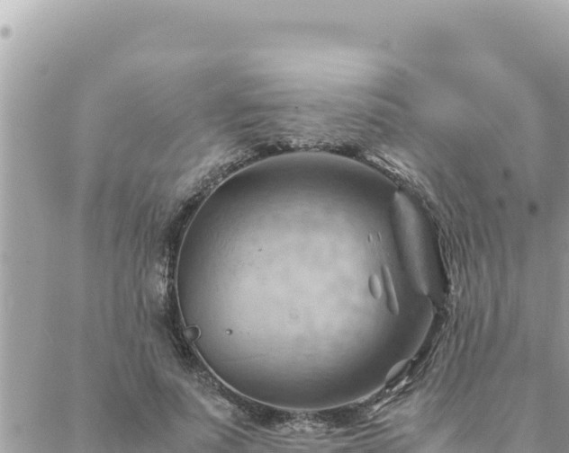 X0000088600691200706011203