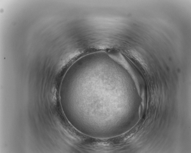 X0000088600692200706011203