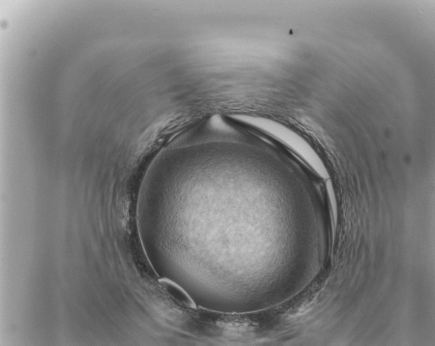 X0000088600693200706011203