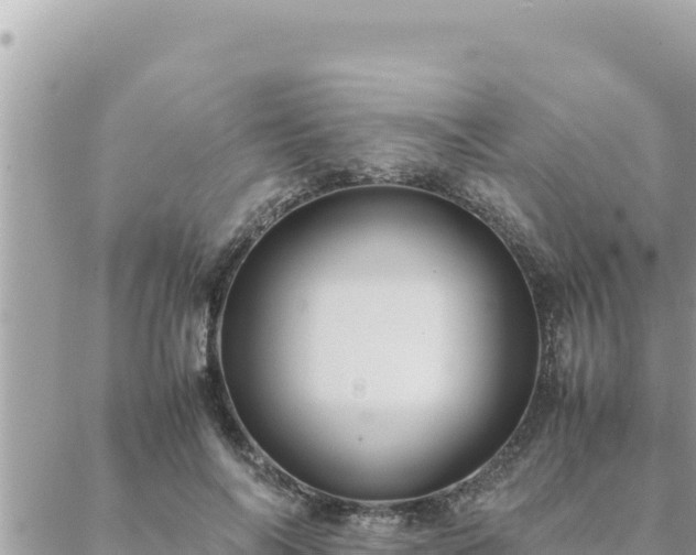 X0000088600694200706011203