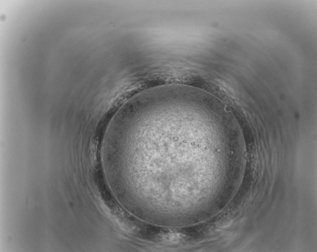 X0000088600695200706011203