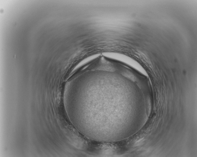 X0000088600697200706011203