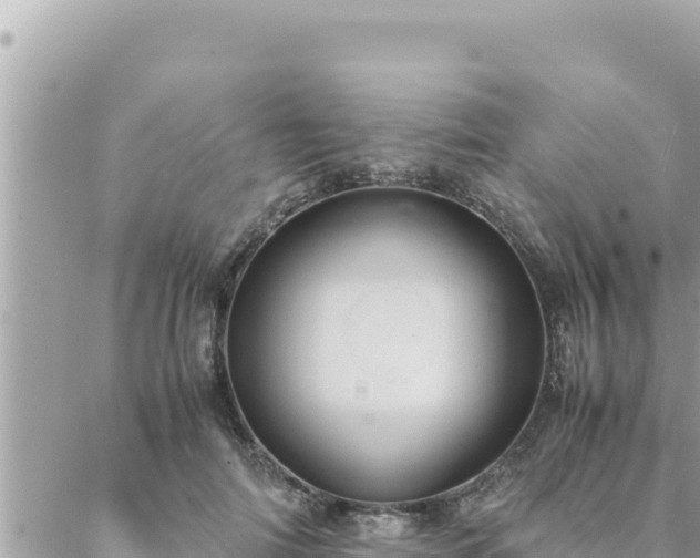 X0000088600698200706011203