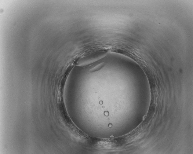 X0000088600699200706011203