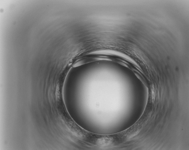 X0000088600700200706011203