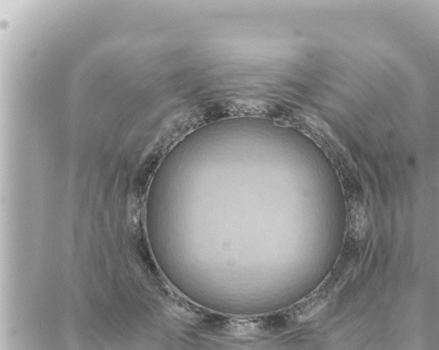 X0000088600701200706011203