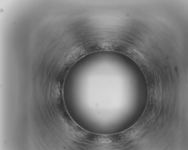 X0000088600702200706011203