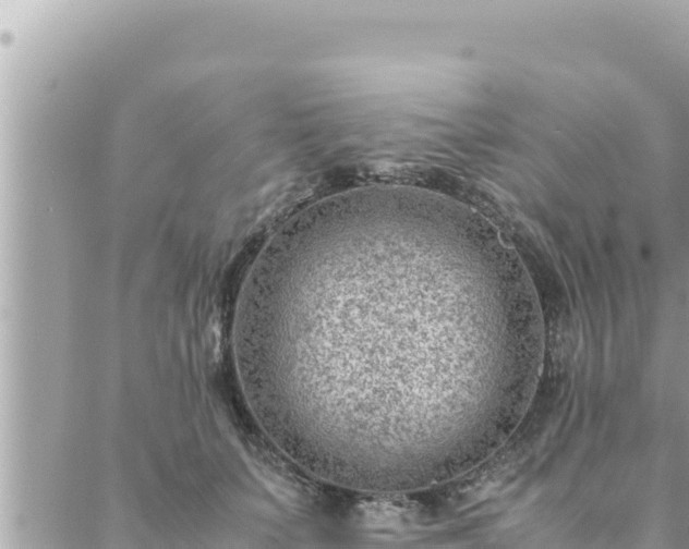 X0000088600703200706011203