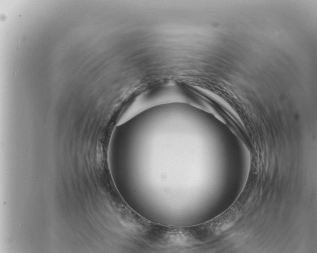 X0000088600704200706011203