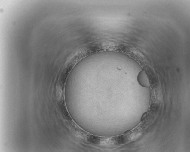 X0000088600705200706011203