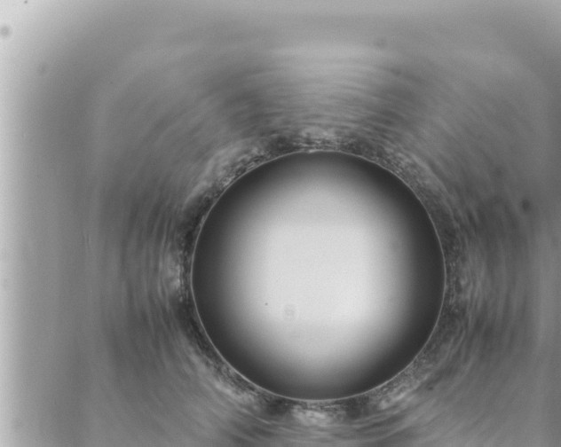 X0000088600706200706011203