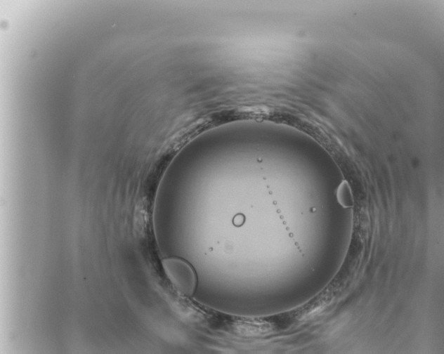 X0000088600707200706011203