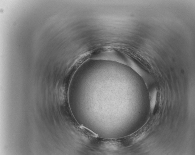 X0000088600708200706011203