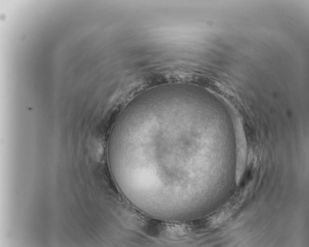 X0000088600709200706011203