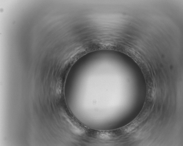 X0000088600710200706011203