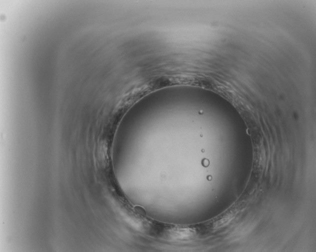 X0000088600711200706011203