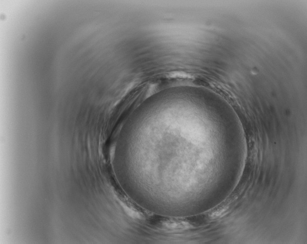 X0000088600712200706011203