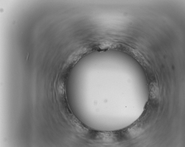 X0000088600713200706011203