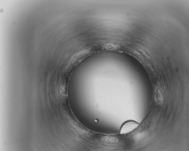 X0000088600714200706011203