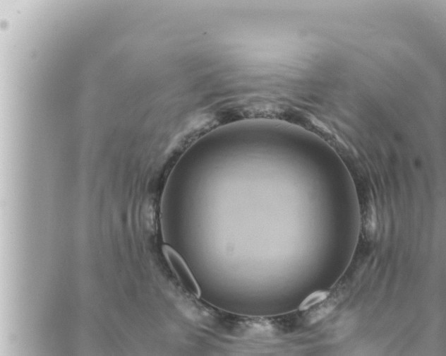 X0000088600715200706011202