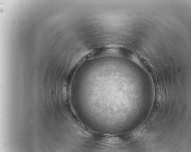 X0000088600716200706011202