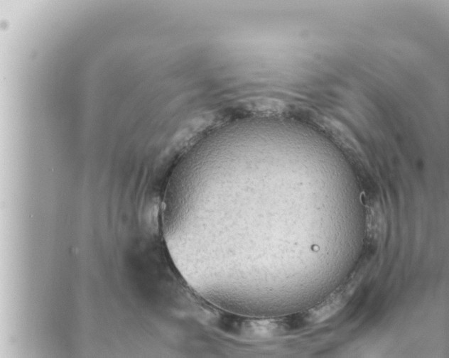 X0000088600717200706011202