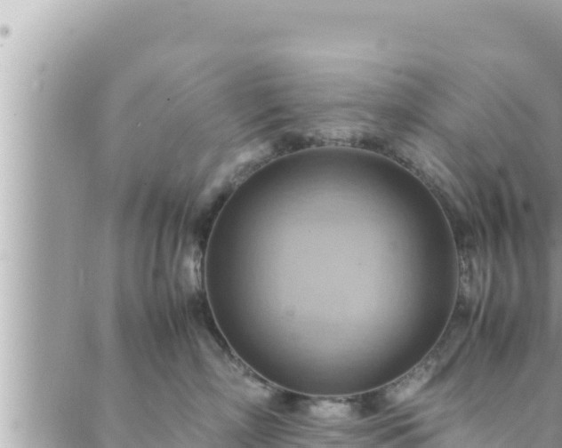 X0000088600718200706011202