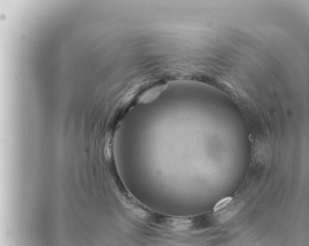 X0000088600719200706011202