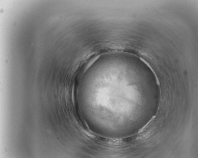 X0000088600720200706011202