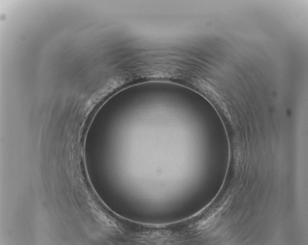 X0000088600721200706011202