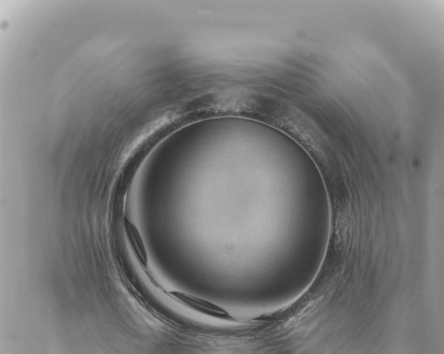 X0000088600722200706011202