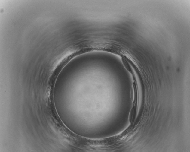 X0000088600723200706011202