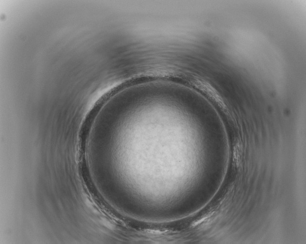 X0000088600724200706011202