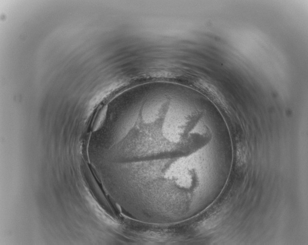 X0000088600725200706011202