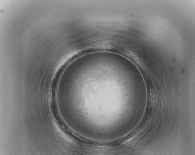 X0000088600726200706011202