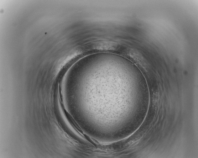 X0000088600727200706011202