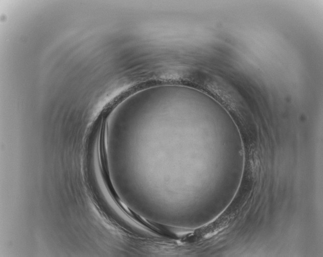 X0000088600728200706011202