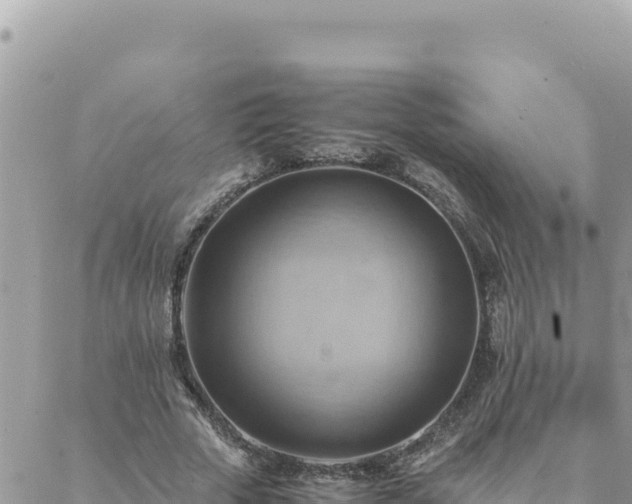 X0000088600729200706011202