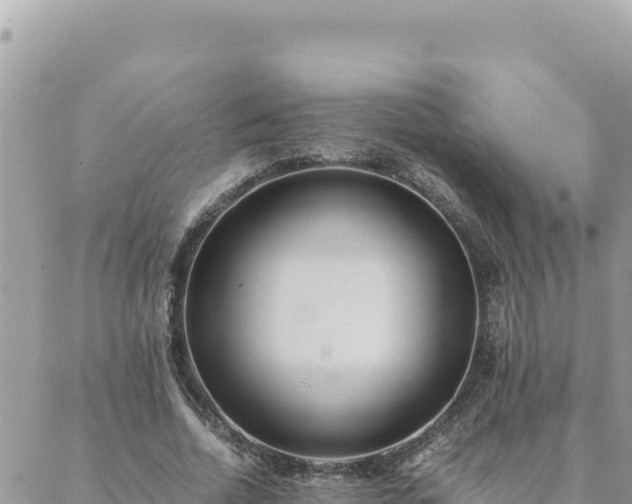 X0000088600730200706011202