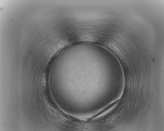 X0000088600731200706011202