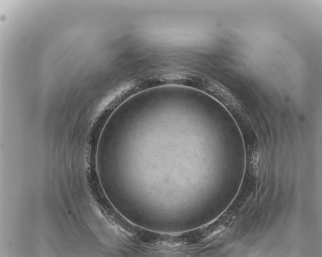 X0000088600732200706011202