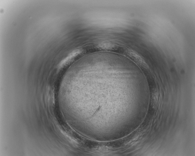 X0000088600734200706011202